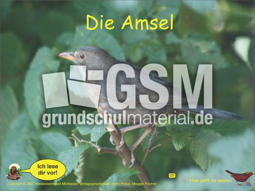 Amsel-Kl-3-4-Ton.pdf